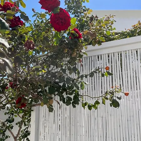 Aleria Central Apartments Naxos City Εξωτερικό φωτογραφία